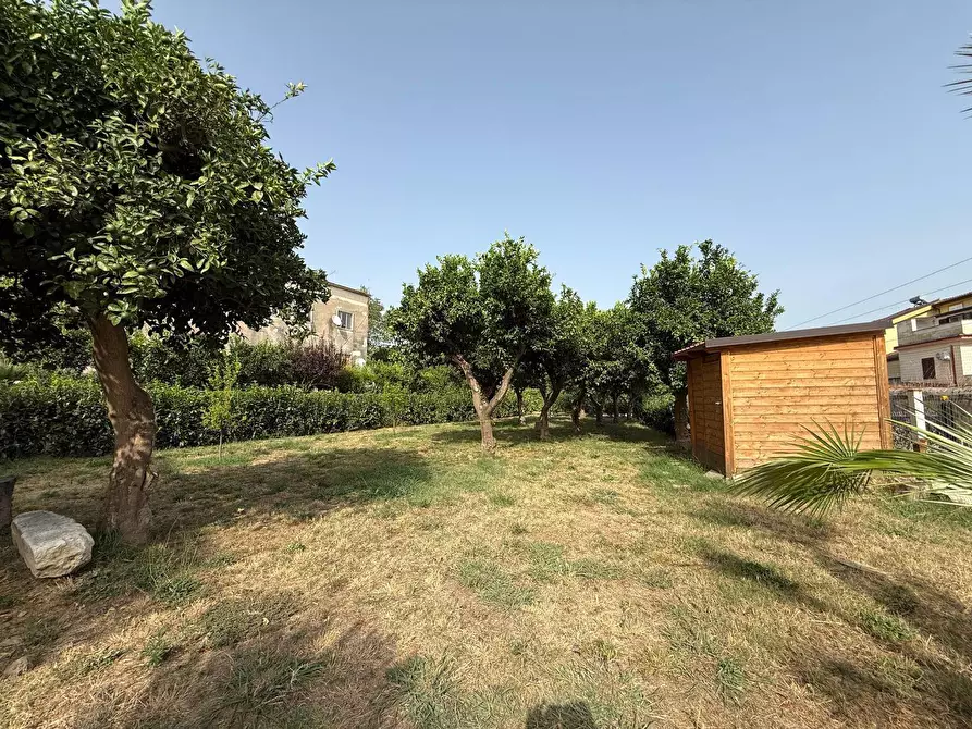 Immagine 27 di Casa indipendente in affitto  in Via Politano 4 a Caserta