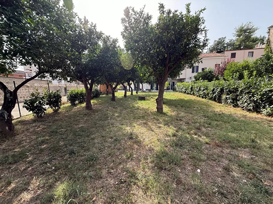 Immagine 28 di Casa indipendente in affitto  in Via Politano 4 a Caserta