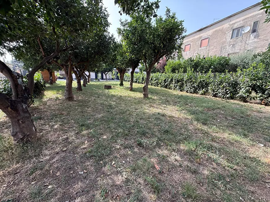 Immagine 29 di Casa indipendente in affitto  in Via Politano 4 a Caserta