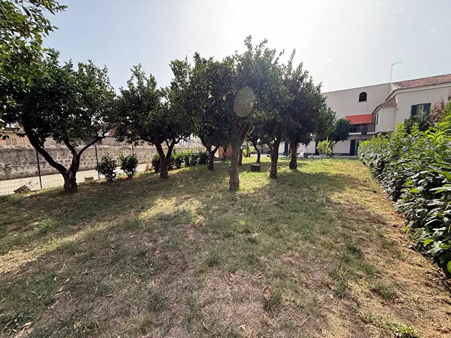 Immagine 30 di Casa indipendente in affitto  in Via Politano 4 a Caserta