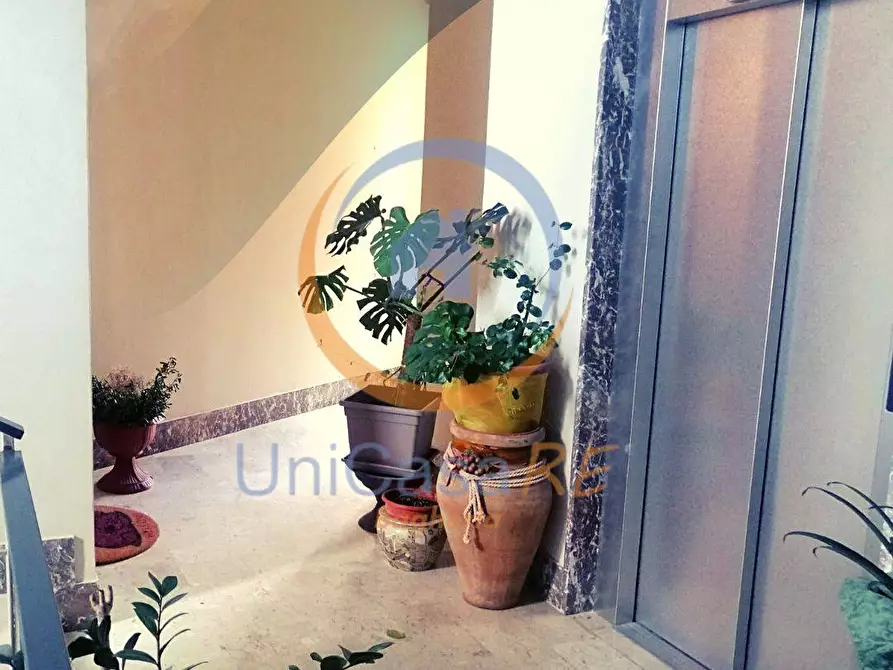 Immagine 32 di Appartamento in vendita  in Via Alba 20 a Santa Ninfa