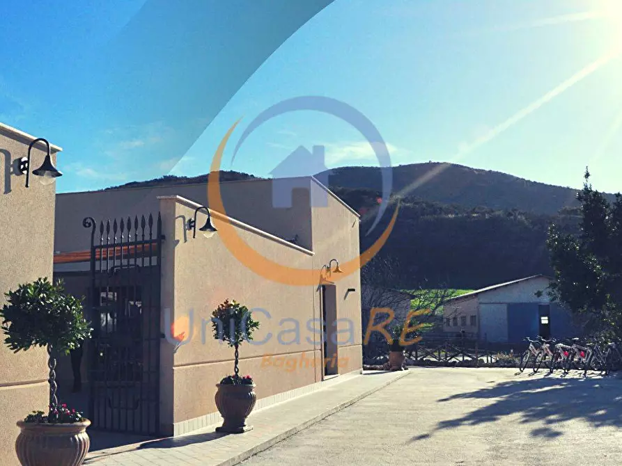 Immagine 2 di Azienda agricola in vendita  in Contrada Arduino a Collesano