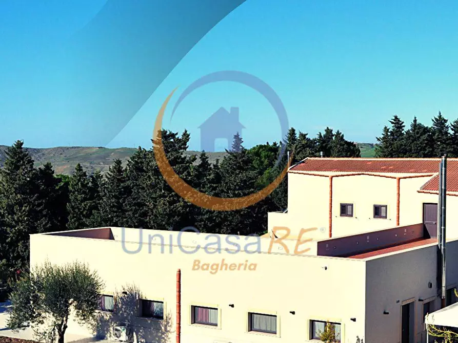 Immagine 3 di Azienda agricola in vendita  in Contrada Arduino a Collesano