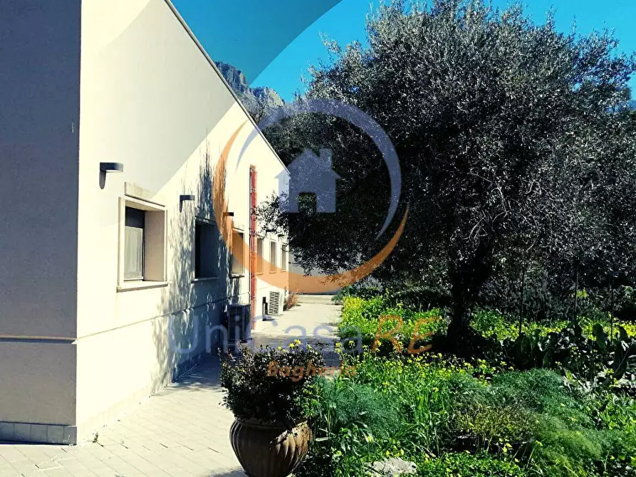 Immagine 6 di Azienda agricola in vendita  in Contrada Arduino a Collesano