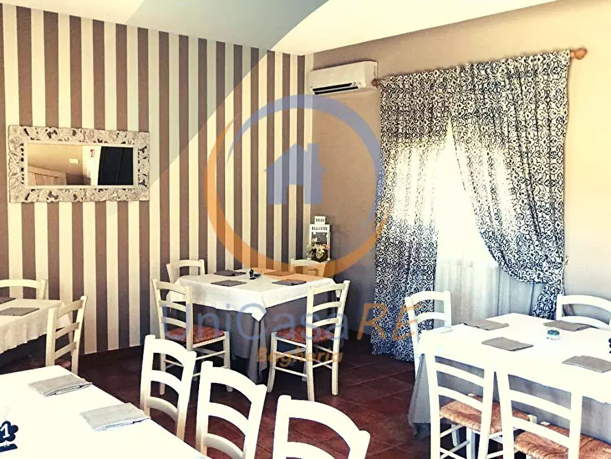 Immagine 15 di Azienda agricola in vendita  in Contrada Arduino a Collesano