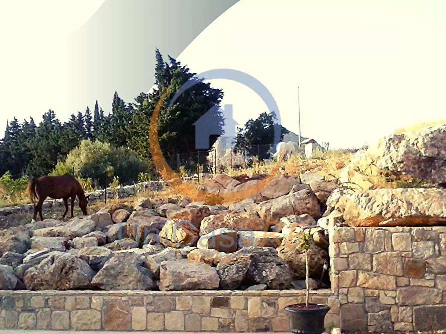 Immagine 28 di Azienda agricola in vendita  in Contrada Arduino a Collesano