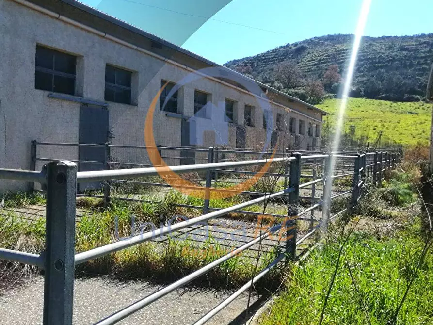 Immagine 29 di Azienda agricola in vendita  in Contrada Arduino a Collesano