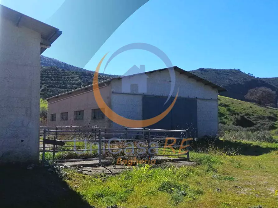 Immagine 30 di Azienda agricola in vendita  in Contrada Arduino a Collesano