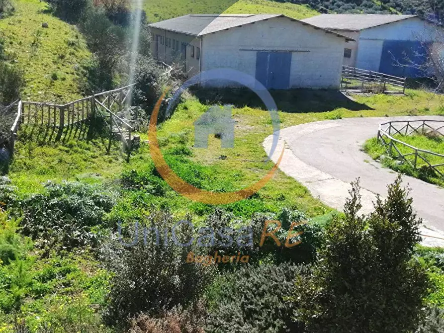 Immagine 31 di Azienda agricola in vendita  in Contrada Arduino a Collesano