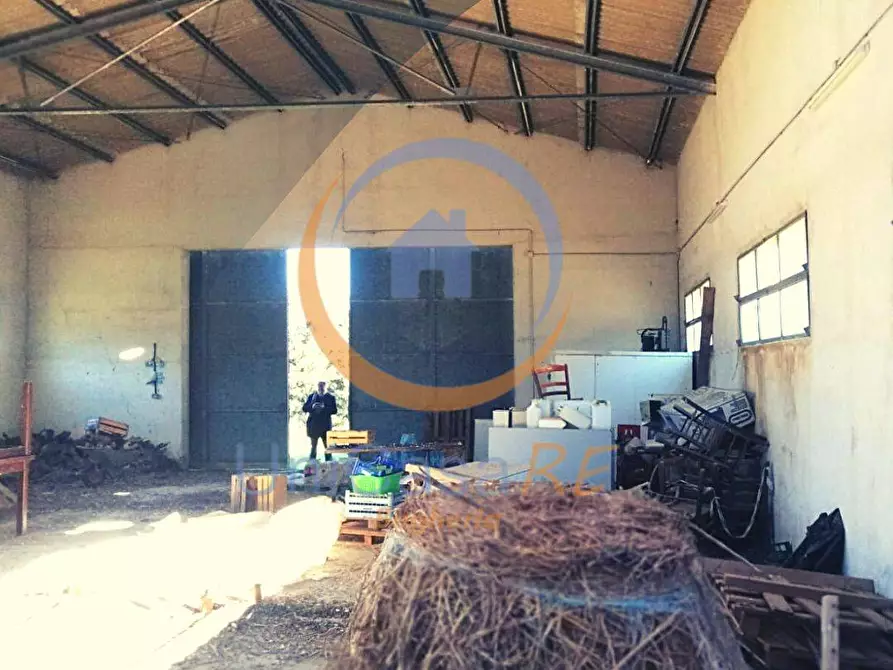 Immagine 32 di Azienda agricola in vendita  in Contrada Arduino a Collesano