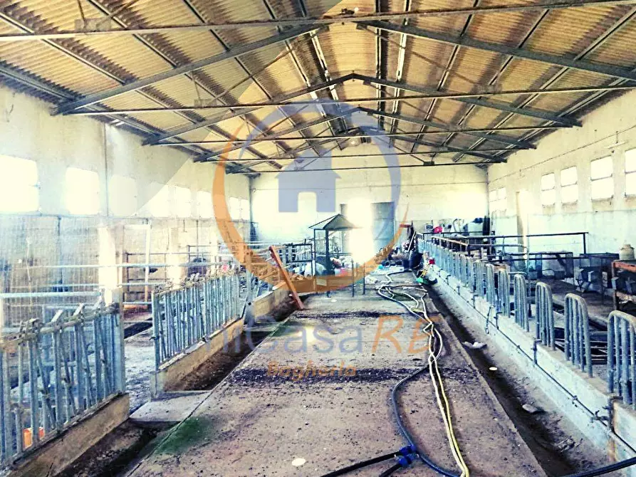 Immagine 33 di Azienda agricola in vendita  in Contrada Arduino a Collesano