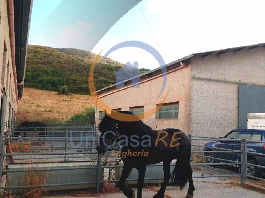 Immagine 36 di Azienda agricola in vendita  in Contrada Arduino a Collesano