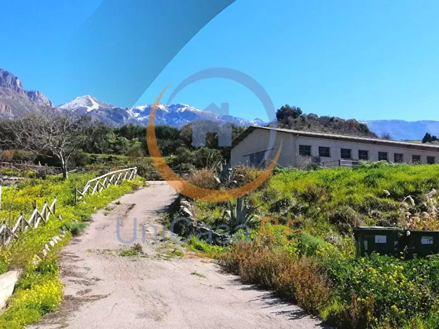 Immagine 37 di Azienda agricola in vendita  in Contrada Arduino a Collesano