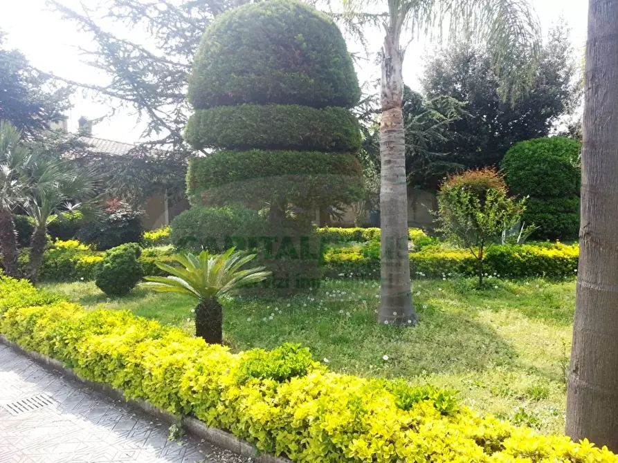 Immagine 9 di Villa in vendita  in strada provinciale pianillo a Cercola