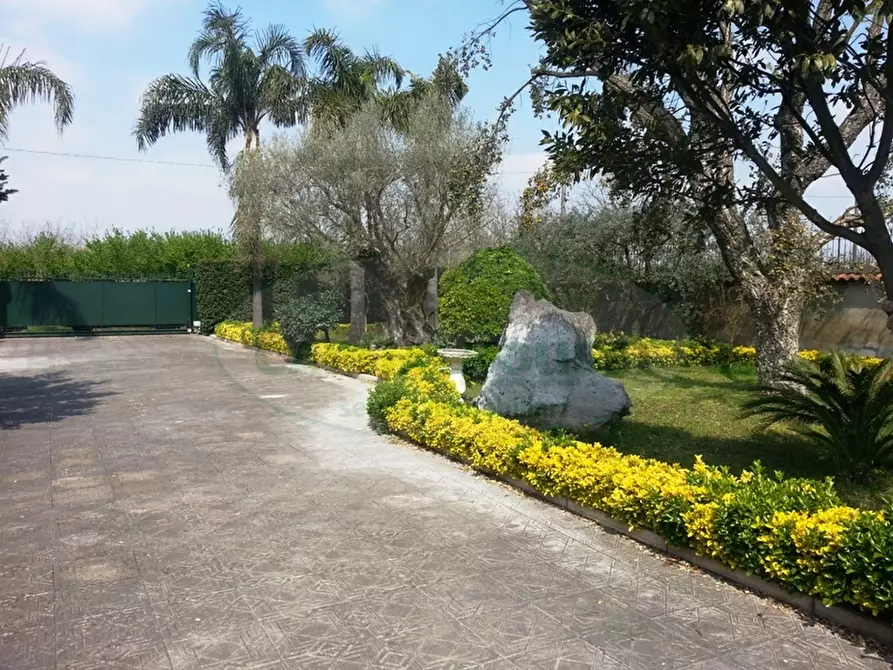 Immagine 14 di Villa in vendita  in strada provinciale pianillo a Cercola