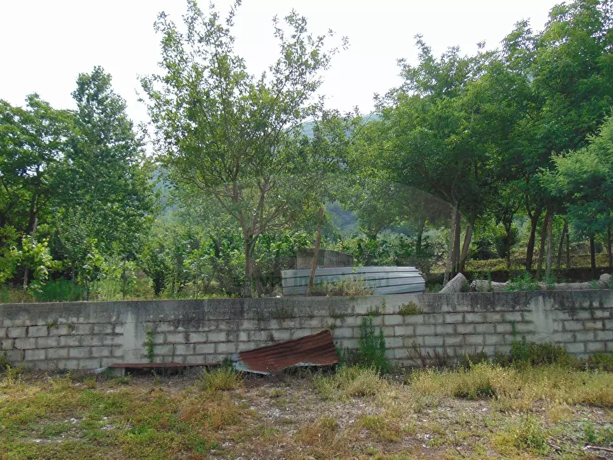 Immagine 8 di Terreno agricolo in vendita  in mugnano del cardinale a Mugnano Del Cardinale