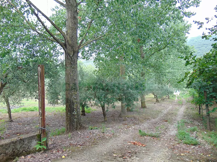 Immagine 11 di Terreno agricolo in vendita  in mugnano del cardinale a Mugnano Del Cardinale