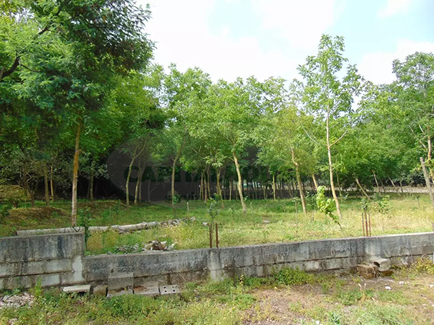 Immagine 12 di Terreno agricolo in vendita  in mugnano del cardinale a Mugnano Del Cardinale
