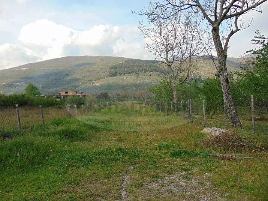 Immagine 3 di Terreno residenziale in vendita  in quadrelle a Aiello Del Sabato