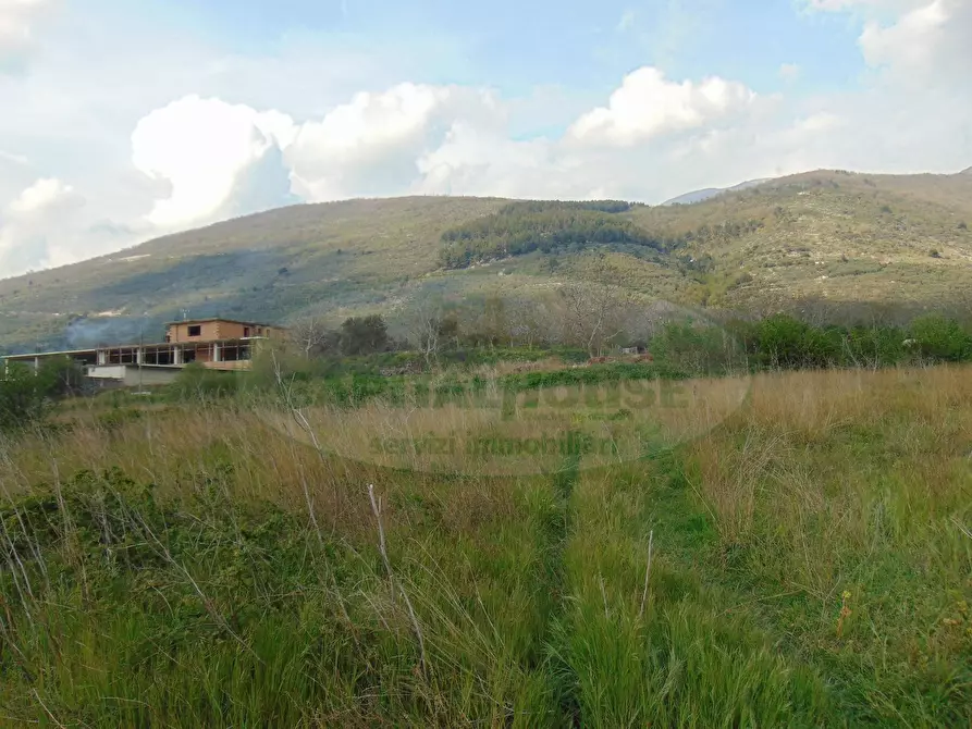 Immagine 5 di Terreno residenziale in vendita  in quadrelle a Aiello Del Sabato
