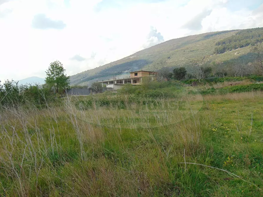 Immagine 7 di Terreno residenziale in vendita  in quadrelle a Aiello Del Sabato