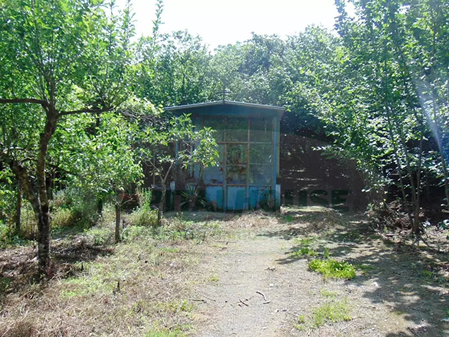Immagine 3 di Terreno agricolo in vendita  in baiano a Baiano