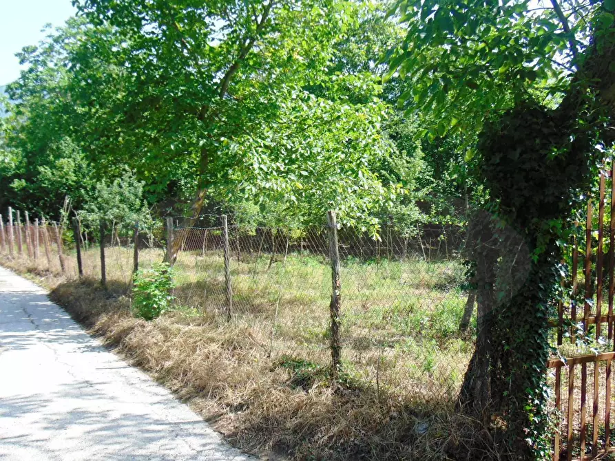 Immagine 7 di Terreno agricolo in vendita  in baiano a Baiano