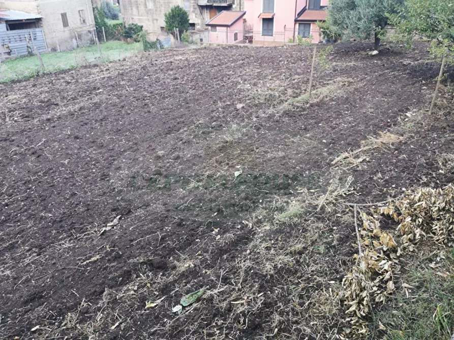 Immagine 4 di Terreno residenziale in vendita  in Sant'Agata dé Goti - località Bagnoli a Sant'agata De' Goti