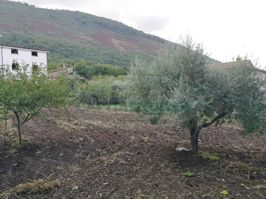Immagine 12 di Terreno residenziale in vendita  in Sant'Agata dé Goti - località Bagnoli a Sant'agata De' Goti