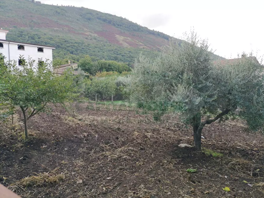 Immagine 8 di Terreno residenziale in vendita  in Sant'Agata dé Goti - località Bagnoli a Sant'agata De' Goti