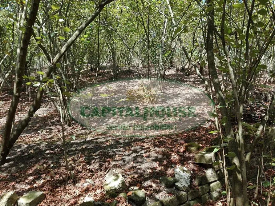 Immagine 2 di Terreno agricolo in vendita  in via Contrada Travi a Ottaviano