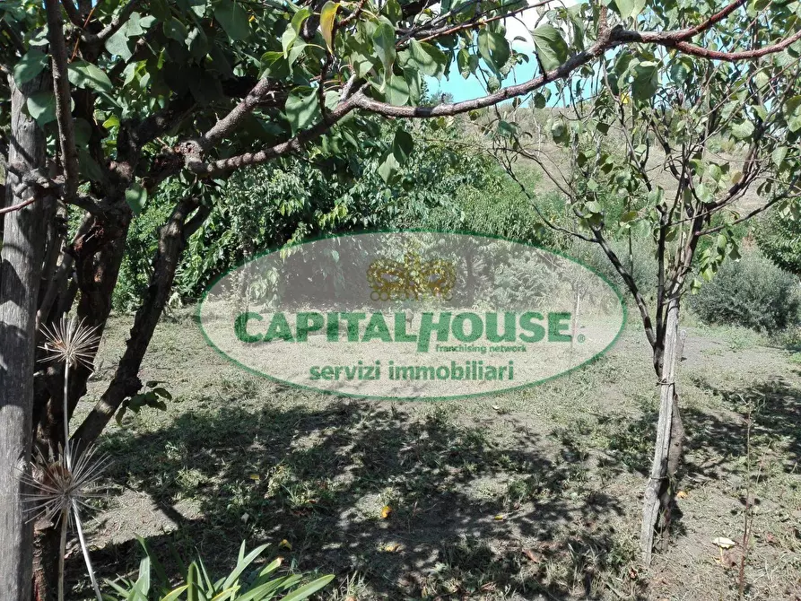 Immagine 5 di Terreno agricolo in vendita  in Località Bosco a Somma Vesuviana