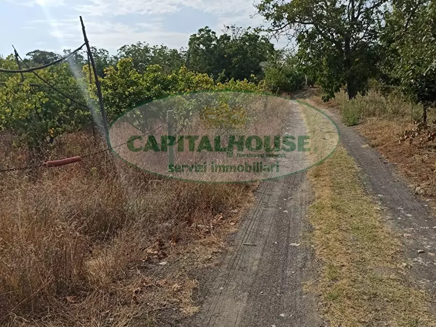 Immagine 3 di Terreno agricolo in vendita  in Località Bosco a Somma Vesuviana