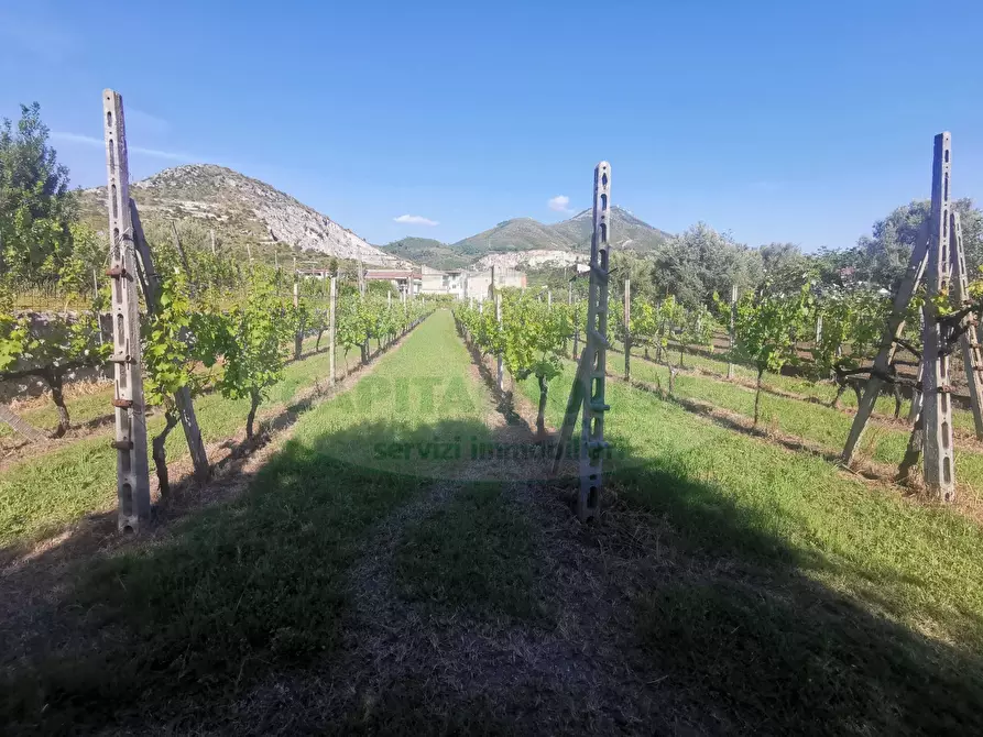 Immagine 6 di Terreno residenziale in vendita  in ZONA VIA DELLA LIBERTA' a Capua