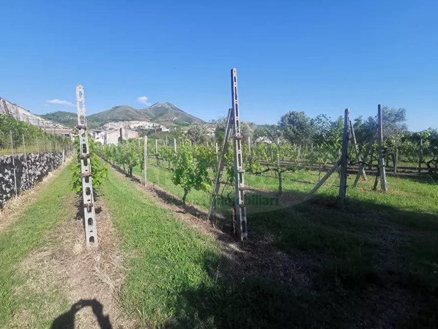 Immagine 7 di Terreno residenziale in vendita  in ZONA VIA DELLA LIBERTA' a Capua