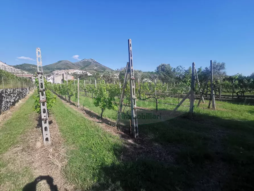 Immagine 9 di Terreno residenziale in vendita  in ZONA VIA DELLA LIBERTA' a Capua