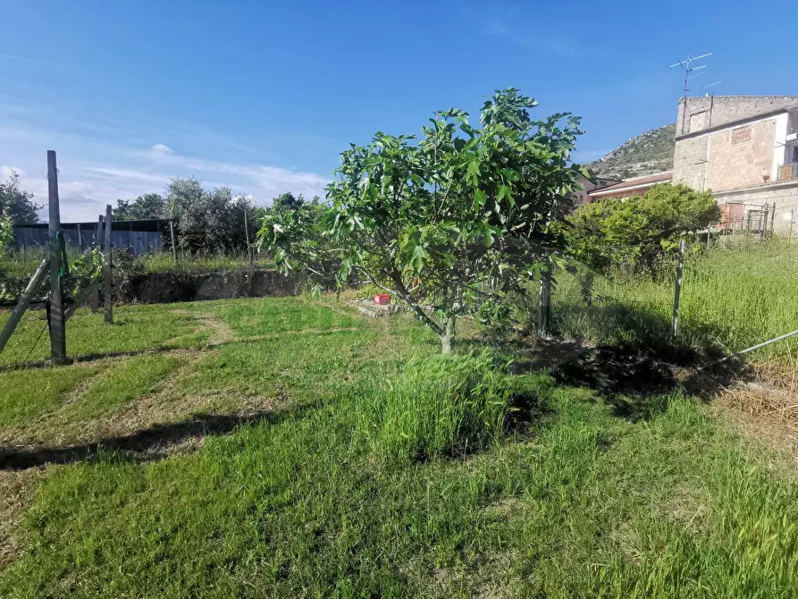 Immagine 20 di Terreno residenziale in vendita  in ZONA VIA DELLA LIBERTA' a Capua