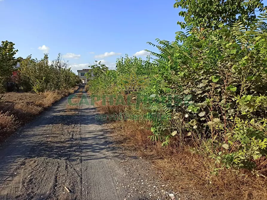 Immagine 3 di Terreno agricolo in vendita  in via Recupe a Ottaviano