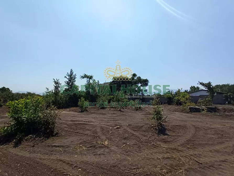 Immagine 2 di Terreno agricolo in vendita  in via Recupe a Ottaviano