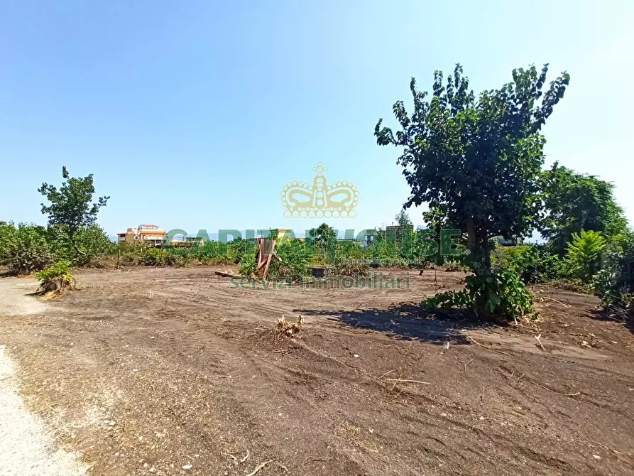 Immagine 6 di Terreno agricolo in vendita  in via Recupe a Ottaviano