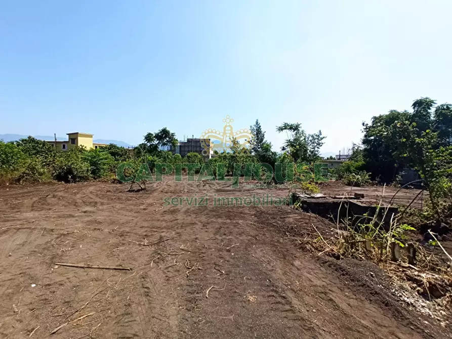 Immagine 5 di Terreno agricolo in vendita  in via Recupe a Ottaviano