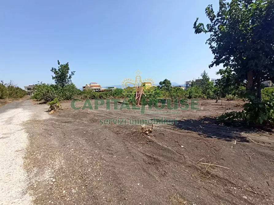 Immagine 4 di Terreno agricolo in vendita  in via Recupe a Ottaviano