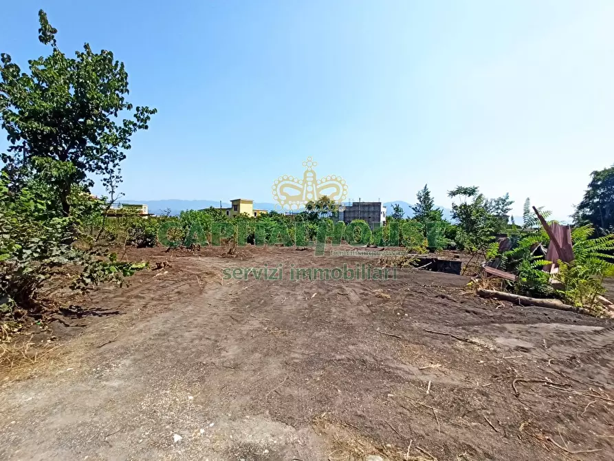 Immagine 8 di Terreno agricolo in vendita  in via Recupe a Ottaviano