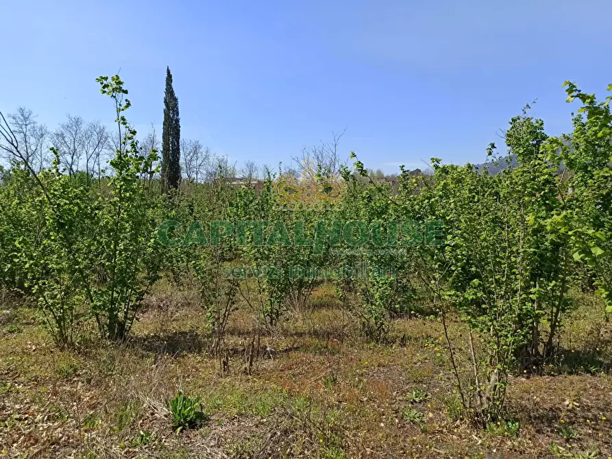 Immagine 12 di Terreno agricolo in vendita  in san giuseppe vesuviano a San Giuseppe Vesuviano