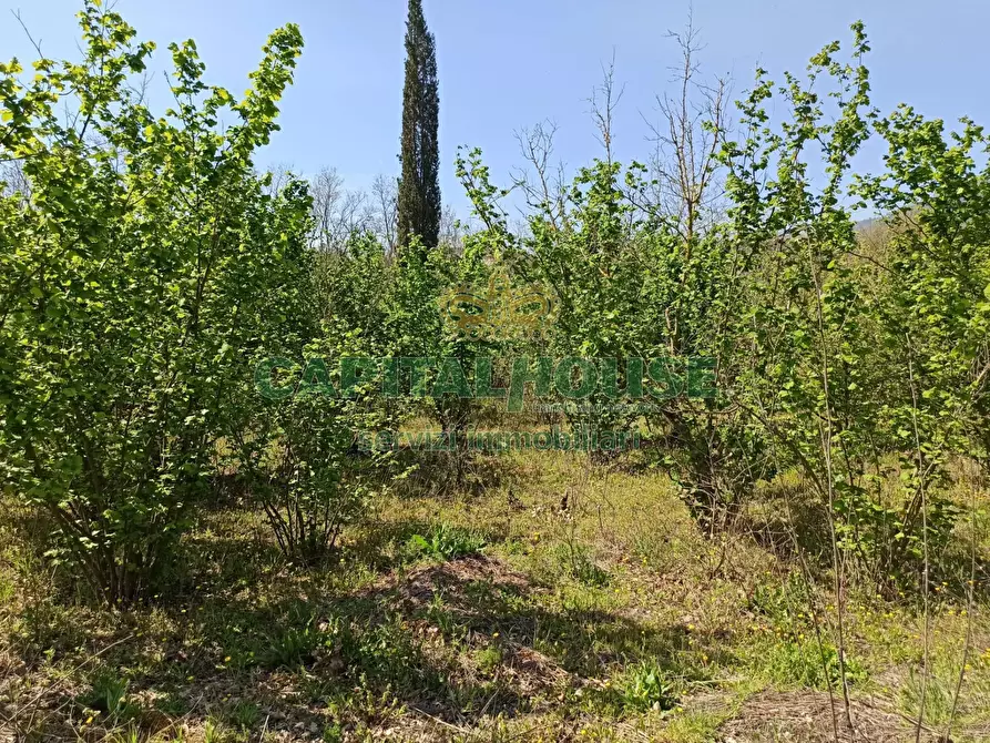 Immagine 7 di Terreno agricolo in vendita  in san giuseppe vesuviano a San Giuseppe Vesuviano