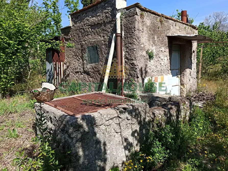 Immagine 4 di Terreno agricolo in vendita  in san giuseppe vesuviano a San Giuseppe Vesuviano