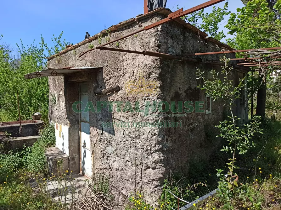 Immagine 3 di Terreno agricolo in vendita  in san giuseppe vesuviano a San Giuseppe Vesuviano