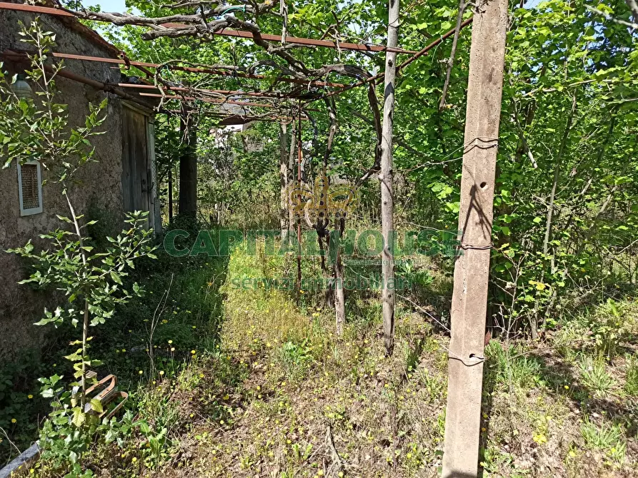 Immagine 2 di Terreno agricolo in vendita  in san giuseppe vesuviano a San Giuseppe Vesuviano