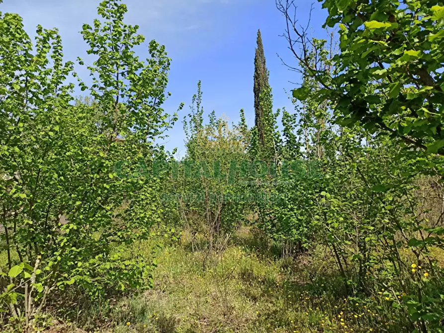 Immagine 8 di Terreno agricolo in vendita  in san giuseppe vesuviano a San Giuseppe Vesuviano
