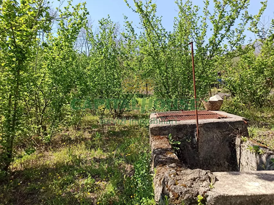Immagine 6 di Terreno agricolo in vendita  in san giuseppe vesuviano a San Giuseppe Vesuviano